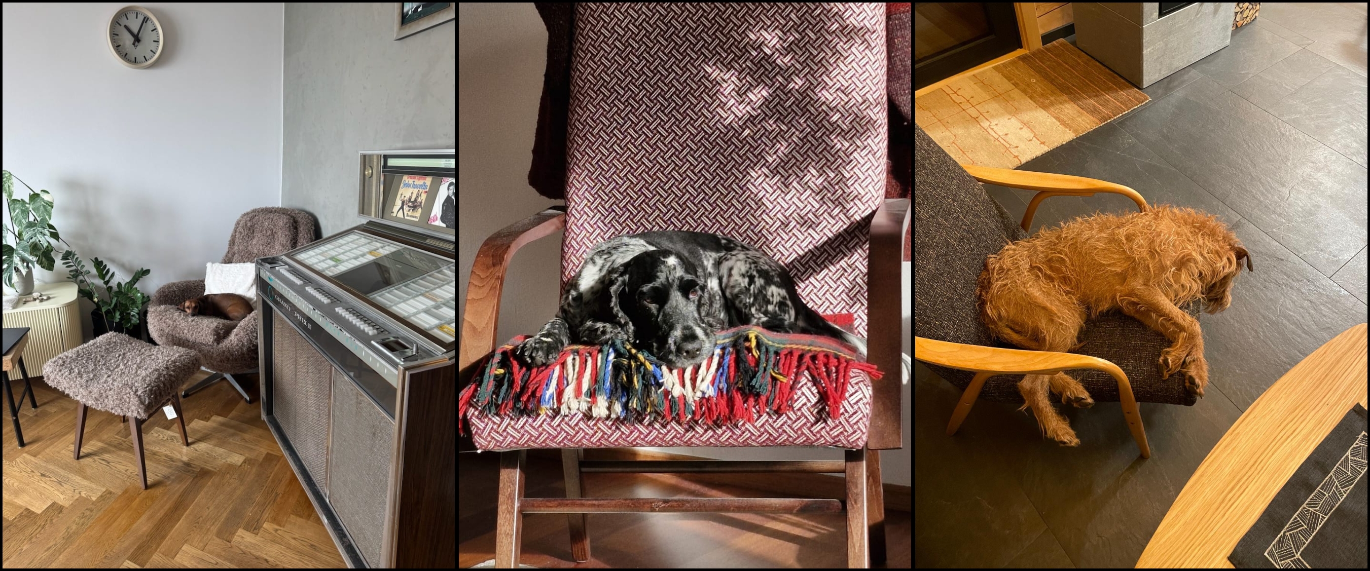 WhatsApp Image 2026-03-18 at 07.51-tile